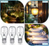 T5 Bulbs 12 4 Bulbs (30 Riakrum Landscape Light Volt Watt Landscape Lighting Low Voltage Wedge Base Replacement Lamp