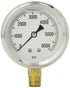 PIC Gauges S201L-254S Pressure Gauge, Bottom Mount, 2.5" Dial, 0-6000 psi Range, 1/4" Male NPT, Glycerin Filled