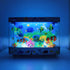 XiaYiTL 80s Fake Fish Tank Lamp - Moving Aquarium Night Light with Virtual Ocean Effect, Retro Design for Adult