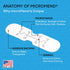 (2 1 1 Emergency Wound Closures Surgical Quality Laceration Repair Without Stitches - Think Ahead - Be Prepared