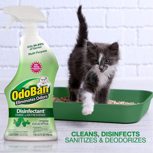 Set 2, 32 oz 1 OdoBan Ready-to-Use Disinfectant and Odor Eliminator, Made in the USA, Original Eucalyptus Scent