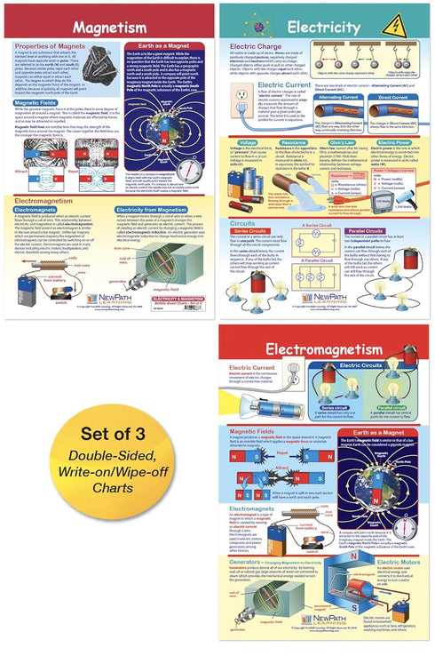 NewPath Learning Electricity & Magnetism Bulletin Board Charts, Set of 3, Laminated, 12" x 18"