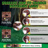 Kids Dinosaur Headlamp Flashlight - Rechargeable LED Headlights with Roar & Silent Mode, T-Rex Toys