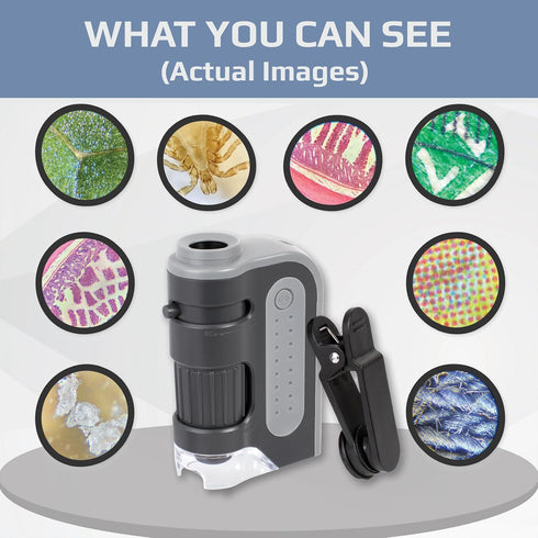 Carson 60x-120x (MM-300) MicroBrite Plus Accurate LED Lighted Pocket Microscope, Portable Educational STEM Toy, Mini