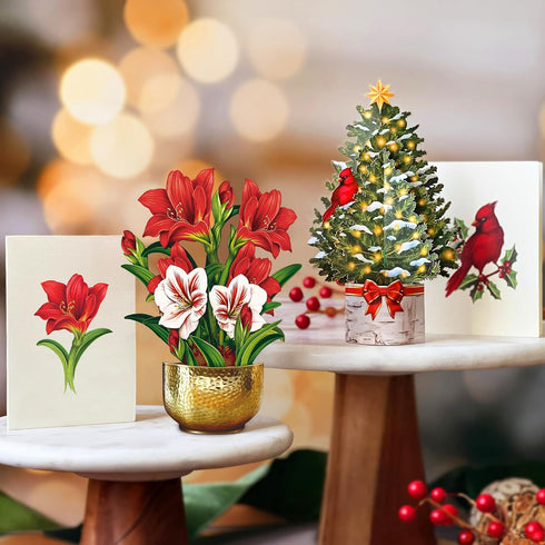 Set, 6 inch 3D Pack 5 Freshcut Paper Pop Up Christmas Cards Boxed Holiday Collection, Mini Sized Paper Flower Bouquet