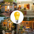 LED Bug Light Bulbs Outdoor, 8 Pack, Dimmable 9W Amber Yellow, A19 Bug Lights for Outside, Bedroom, Porch Light