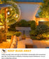 EvaStary Dusk to Dawn Yellow Bug Light Bulbs Outdoor, A19 LED Yellow Bulb for Porch Lights, 4 Pack