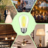 15 Pack Dimmable LED S14 Replacement Light Bulbs, 1W Vintage Edison, E26 Base, 2200K Warm White