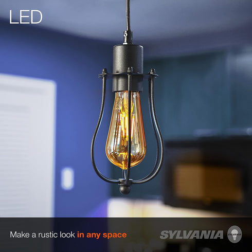 60W Dimmable ST19 Bulb 800 1 Pack (75513) LEDVANCE Sylvania Vintage Lowell Cage Pendant Light Fixture, LED Edison