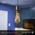 60W Dimmable ST19 Bulb 800 1 Pack (75513) LEDVANCE Sylvania Vintage Lowell Cage Pendant Light Fixture, LED Edison