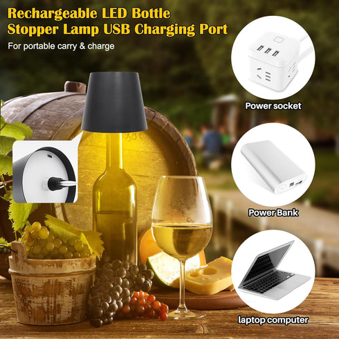 2PCS 3 Dimming, Wireless Bottle Lamp,Metal Wine Bottle Light with Color Light Waterproof Bottle Touch Lamp Head