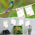 4 Pads Funny Animal Sticky to Do Notepad Chicken Hens Dogs Cats Pigs Lover Gifts Chicken Scratch Notepad Chicken Gifts for Rooster Baby Chicklet Barn Office Decor Accessories, 4 x 6''(Hummingbird) by Geyee