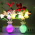 AUSAYE 2 PCS Plug-in Night Light with Auto Light Sensor,RGB LED Mushroom