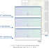 DocuGard Premier Prismatic Check, 13 Features, 8.5 X 11, Blue/Green Prismatic, 500/ream