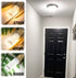 ALIDE 4 Pack E26 100W Replacement LED Candelabra Corn Bulbs, 6000K Bright Daylight White, 1200LM for Ceiling Fan