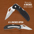 Maxam Falcon VII Lockback 7 (Open) Inch Pocket Knife - Stainless Steel Honed Blade, Textured No-Slip Handle, Carry Clip by Maxam