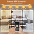 Wefomey Dimmable 24V 2700K-6500K (1 131ft) White LED Strip Lights, Bright Flexible Tape Light with Remote and App