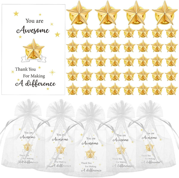 Nosiny Employee Appreciation Gifts - Star Badge Lapel Pins with Inspirational Greeting Cards