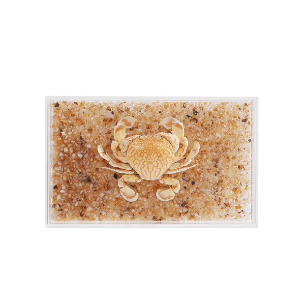 Real Crab Specimen in Acrylic Display Box Preserved Taxidermy for Marine Biology,