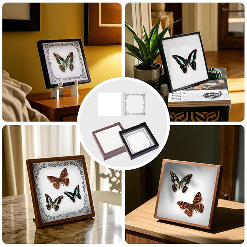Insect Specimen Tools Kit - EVA Foam Pinning Board, Coordinate Paper, Wings Pressing Paper, Insect Pins & Butterfly