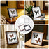 Insect Specimen Tools Kit - EVA Foam Pinning Board, Coordinate Paper, Wings Pressing Paper, Insect Pins & Butterfly
