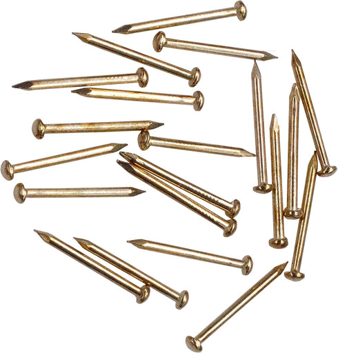 Hardware Nail Assortment Kit (300pcs), Brass Plated Nails for Hanging Pictures (20MM)