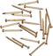 Hardware Nail Assortment Kit (300pcs), Brass Plated Nails for Hanging Pictures (20MM)