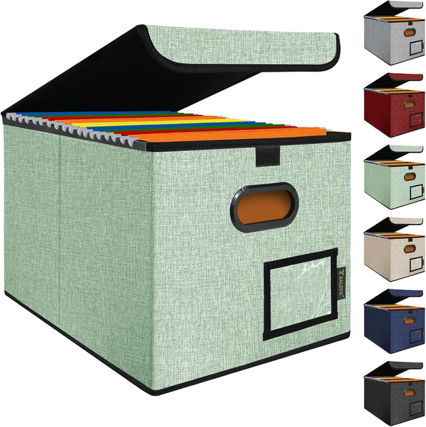BALEINE File Organizer Box with Lid, Collapsible File Folder Organizer with Plastic Slide, Hanging File Folder Box for