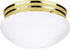 Westinghouse 66609 2BULB PB Ceiling Fixture Lighting, Two Polished Brass