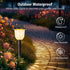 2 Pack echosari Color Changing Solar Pathway Lights, Dynamic Pattern Multicolor & Warm White Solar Lights Outdoor