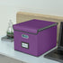 Upgraded File Organizer Box with Lid, Huolewa Collapsible Linen Hanging Filing & Storage Box for Office/Decor