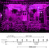 500 Lights,164 8 kemooie LED Pink Valentines Day FT String Lights Outdoor Plug in Waterproof with Twinkle Modes
