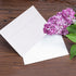 White Envelopes, 50 Pack, 5 x 7 Inch A7 Envelopes, Large Wedding, Invitation, Greeting Card Mailing Envelopes
