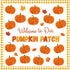 Fall Pumpkin Bulletin Board Set Decorations for Classroom Autumn 3D Thanksgiving Pumpkin Honeycomb Decor