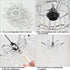 2-Tiers H13.78''X D11.02'' Chandelier Shades, Mini Crystal Shade, Acrylic Beaded Hanging Lampshade, Modern Pendant