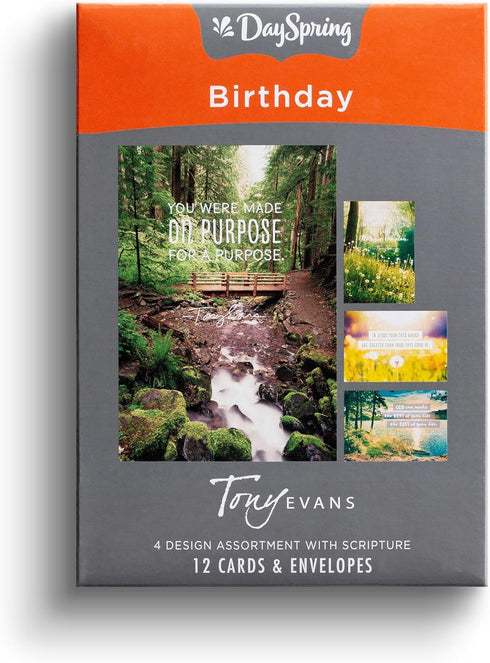 DaySpring - Tony Evans - You Were Made for a Purpose, 12 Birthday Boxed Cards & Envelopes, 4 Design Assortment with