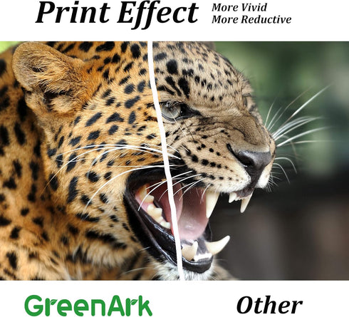 GREENARK Compatible Ink Cartridge Replacement for Canon CLI-271 CLI-271XL Gray Ink Cartridges for PIXMA TS8020 TS9020