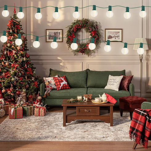 25Ft G40 25 Bulbs(2 Abeja Frosted White String Lights, Globe Patio String Lights with LED Frosted Spare), Vintage
