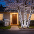 100 Commercial 35 LED White Christmas Lights, UL Certified and Grade White Wire String Lights FT, for Indoor