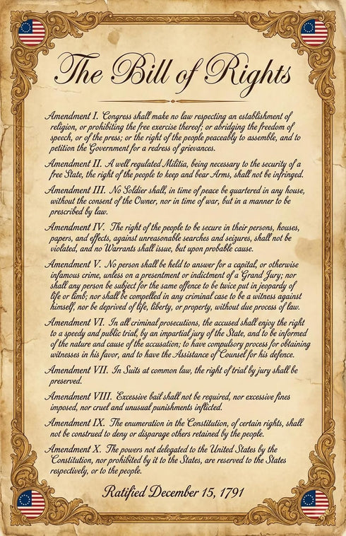 Set (12 Pack) 11x17 JELLY BEAN GENIUS US Founding Documents Poster - Constitution, Bill of Rights, Declaration