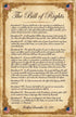 Set (12 Pack) 11x17 JELLY BEAN GENIUS US Founding Documents Poster - Constitution, Bill of Rights, Declaration