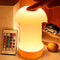 Night Light, Dimmable Touch Lamp for Bedroom - Portable Table Bedside Lamp