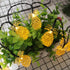 SNOMYRS 13Ft 20 LED Solar Pineapple String Lights, Warm White Fairy Lights with 8 Lighting Modes for Garden Yard Patio