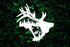 Bull Elk Stencil, Reusable 10 mil Mylar, for Airbrush, Murals, Tees, and More, DIY Art & Craft Supplies STENCILAIR