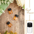 200 2 ml Lallisa Pcs Glass Vials with Screw Black Caps Plastic Stoppers, Leak-proof Clear Small Sample Vials Bulk