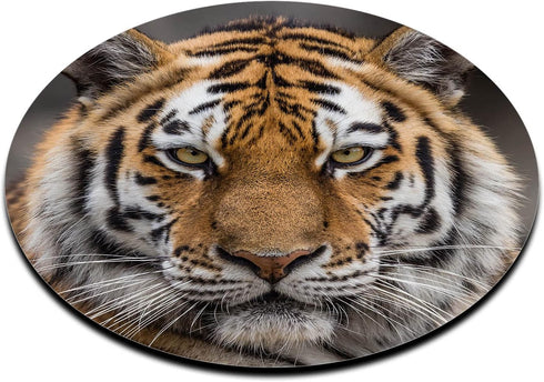 Mouse Pad Siberian Tiger Design Non-Slip Round Rubber Mousepad by ice rabbit