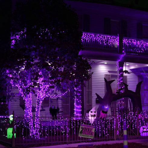Dazzle Bright Fairy String Lights, 20 FT 60 LED Copper Wire, Battery Operated Waterproof Lights for Halloween Decor