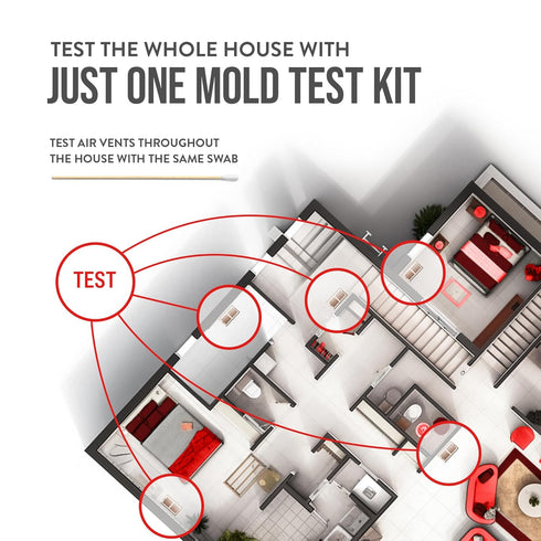 BioCide Labs DIY Mold Test Kit for Home Air Quality - Test 10 Locations, Lab Analysis Included