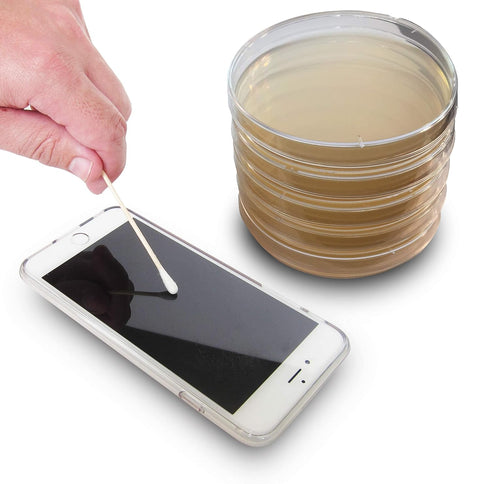 LB (LB) Agar Plates - Evviva Sciences - Prepoured Luria-Bertani Agar Petri Dishes - General Purpose Media - Top Science