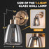 Kasiqilight 6 Inch Flush Mount Wall Sconce Smoked Grey Retro Vanity Light with Clear Glass Shade Hardwired Bathroom